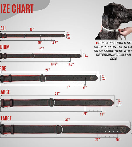 Riparo Genuine Leather Padded Dog Heavy Duty K-9 Adjustable Collar (M: 1” Wide for 14.5” - 17.5” Neck, Black/Red Thread)