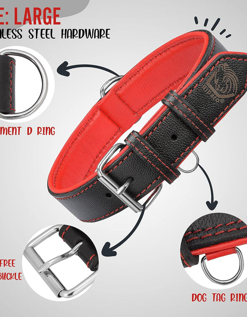 Load image into Gallery viewer, Riparo Genuine Leather Padded Dog Heavy Duty K-9 Adjustable Collar (M: 1” Wide for 14.5” - 17.5” Neck, Black/Red Thread)
